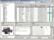 BLOB Viewer/Editor